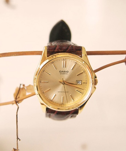 [CASIO]golden age watch